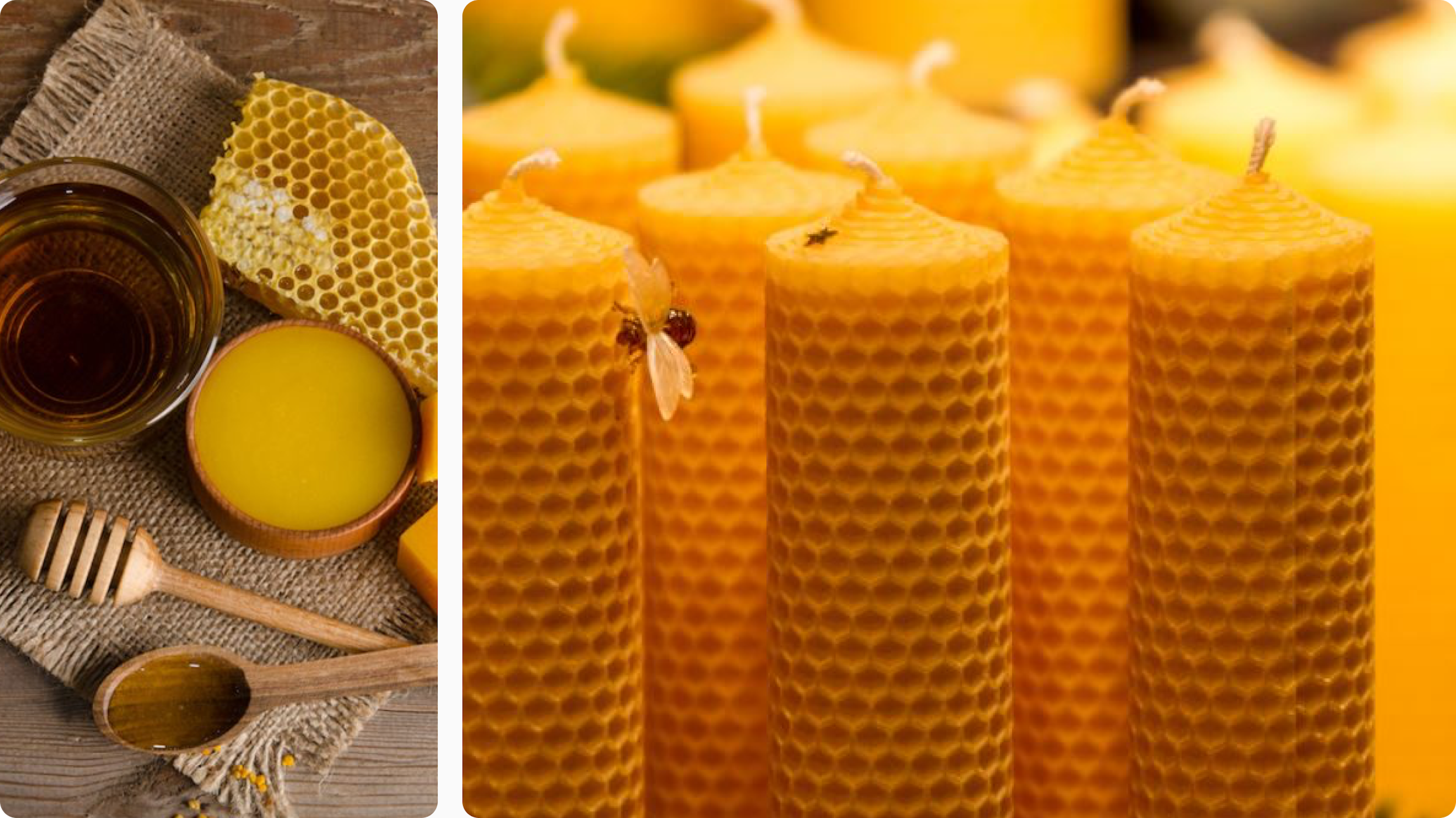 Beeswax candles and honeycomb wax on a wooden table setup