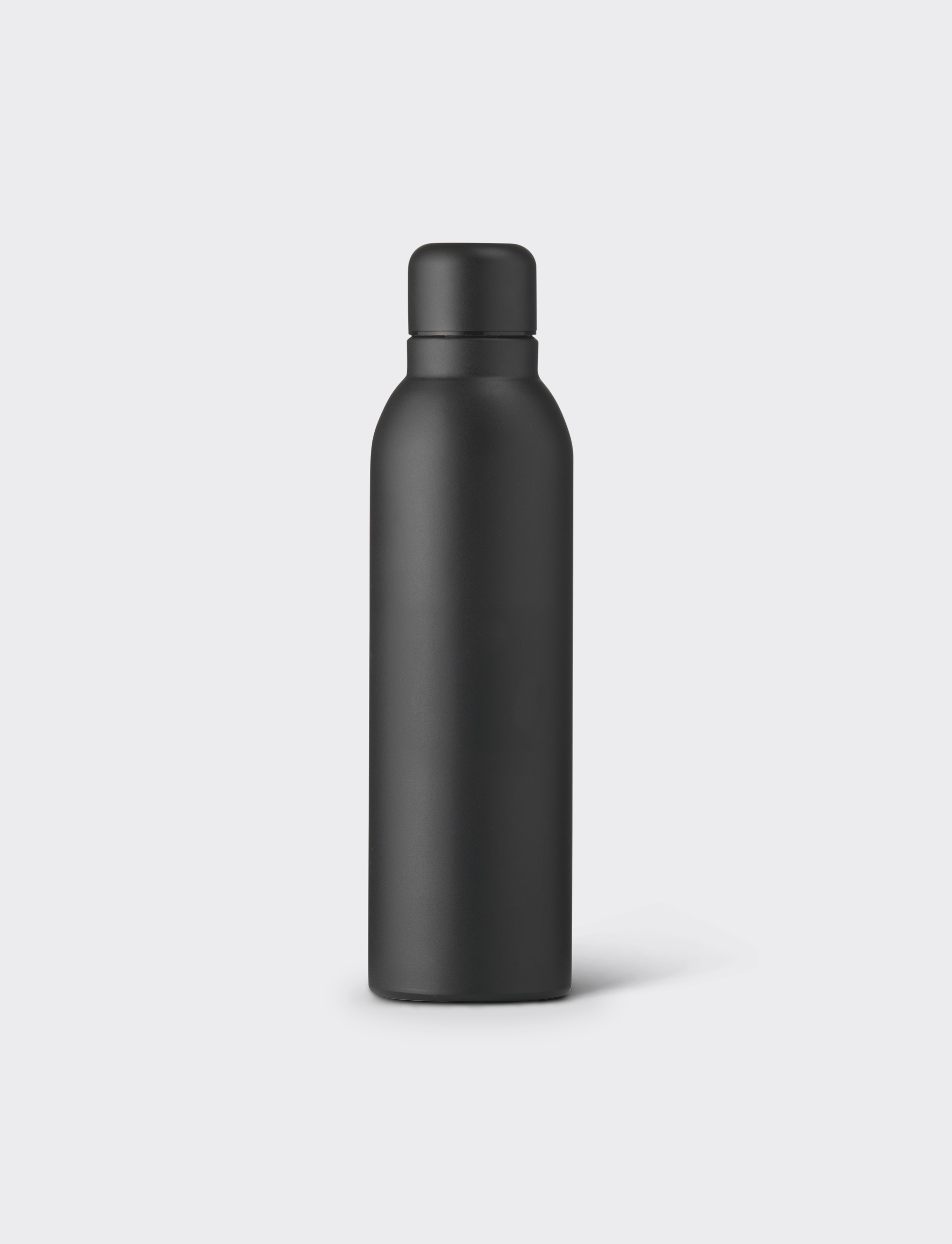Insulated Matt Bottle