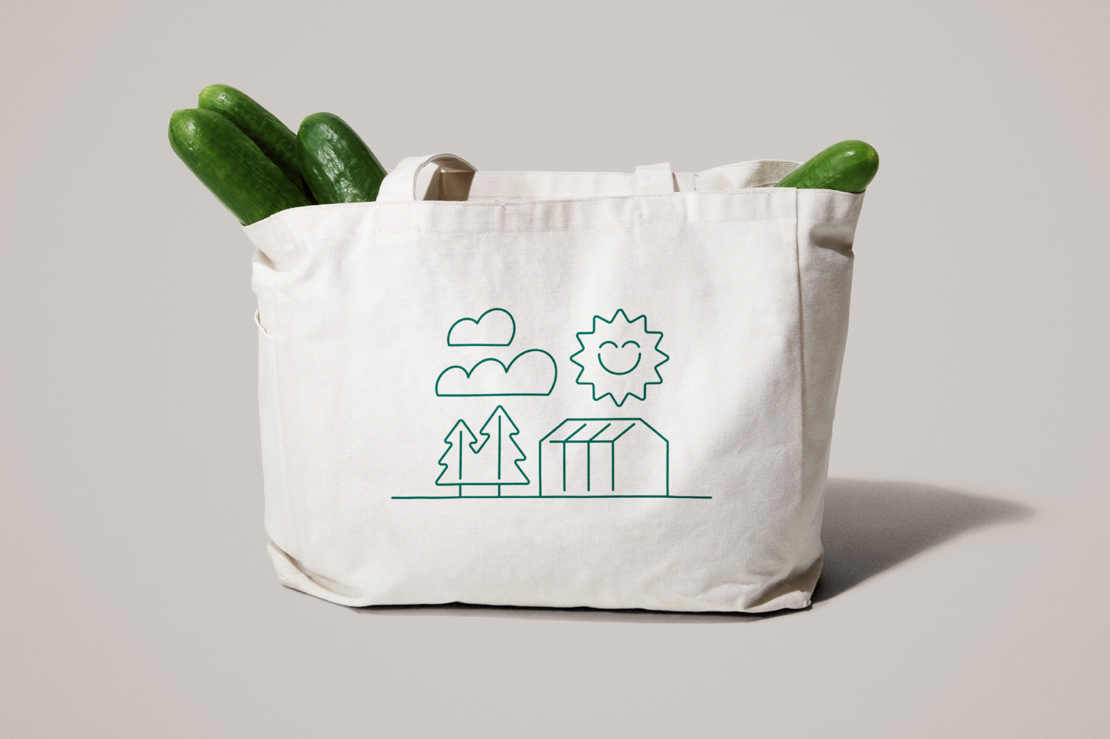 Eco-Chic Toundra Tote