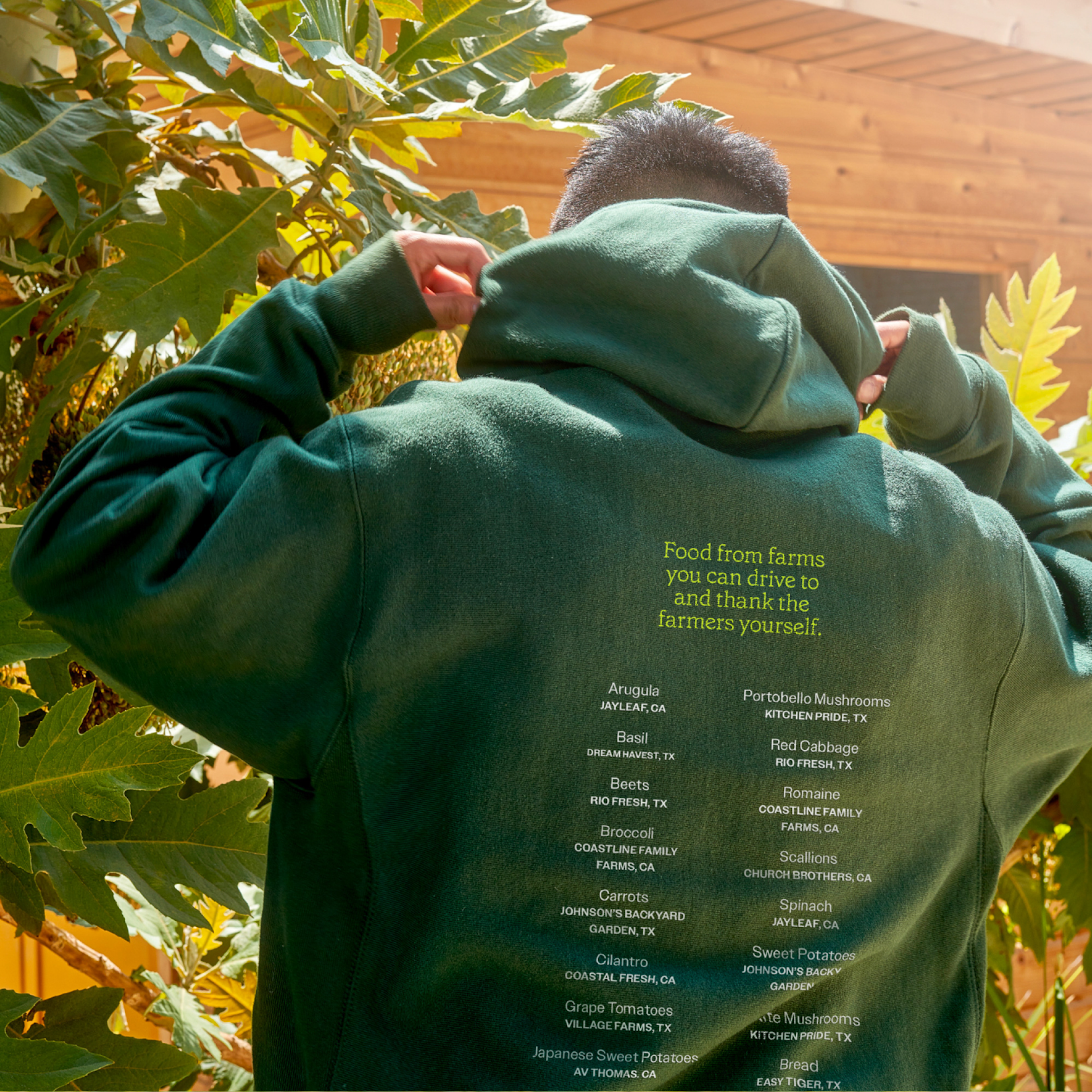 Sweetgreen Farm Hoodie