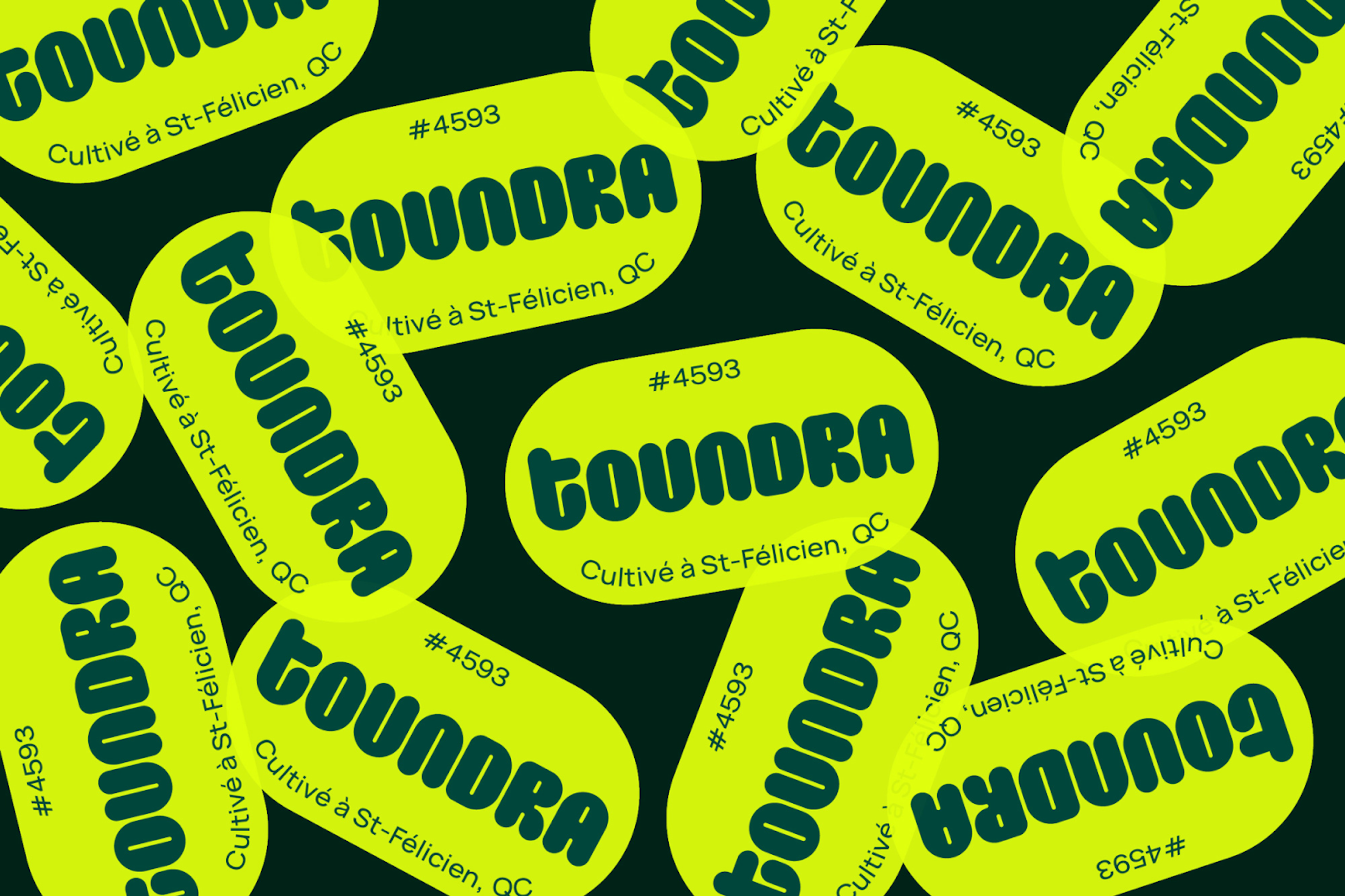 Toundra Branded Stickers