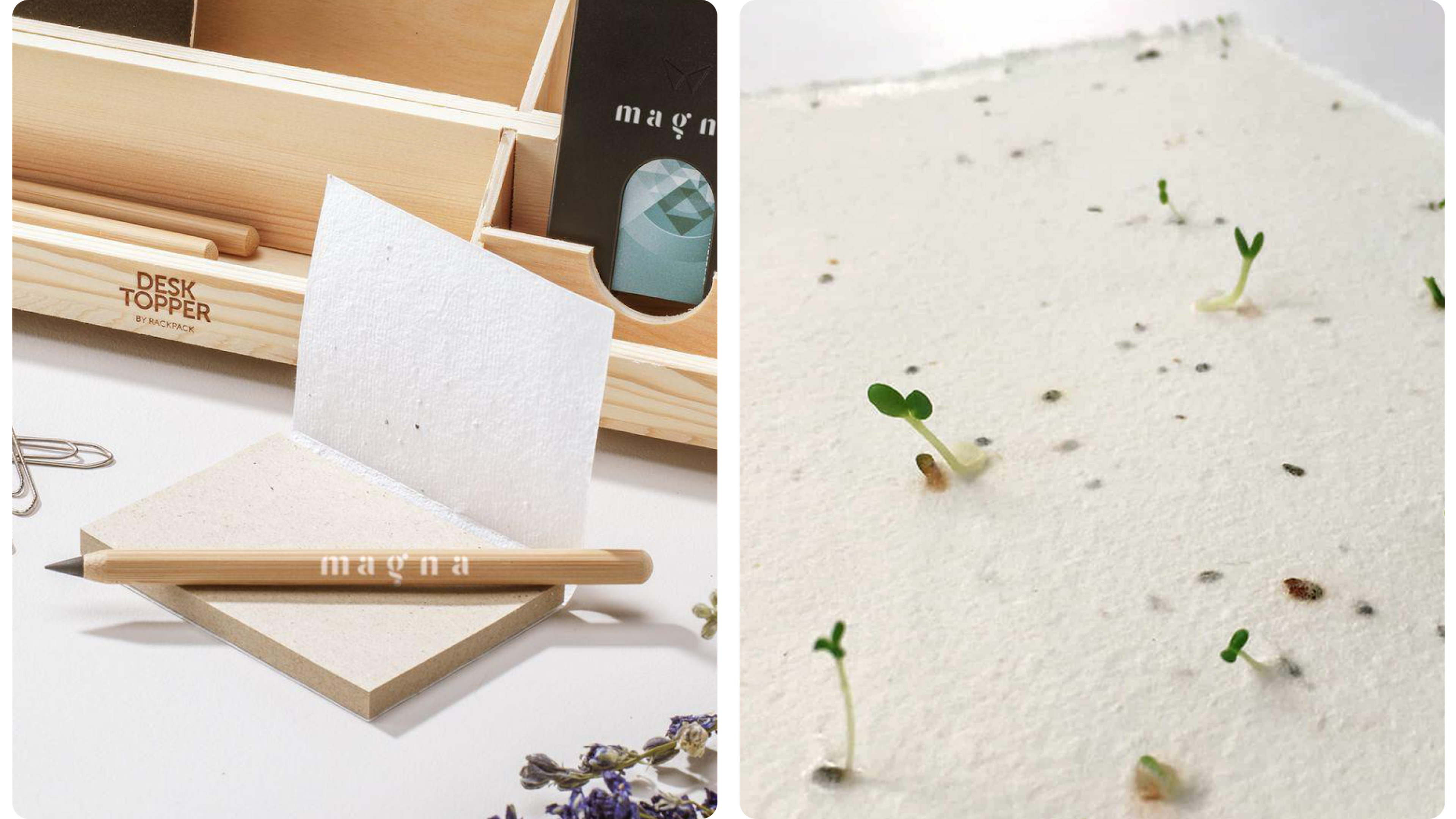 Seed-Paper Sticky Notes und Keimlinge auf Samenpapier als pflanzbares Add-on